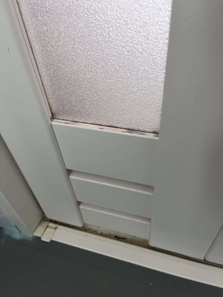 浴室ドアのゴムパッキンに付着した頑固な黒カビの拡大写真（掃除前）