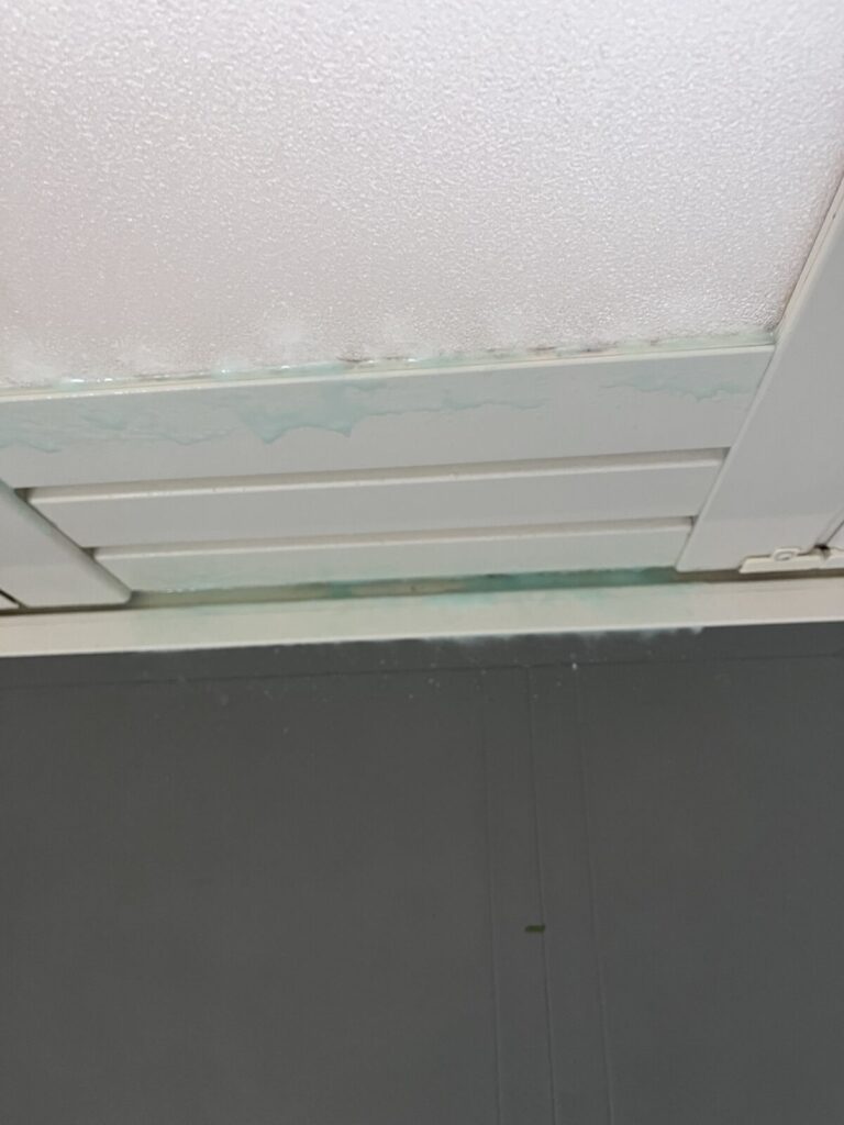 アズマジックカビ取り剤の緑色ジェル泡を壁面にスプレーした様子